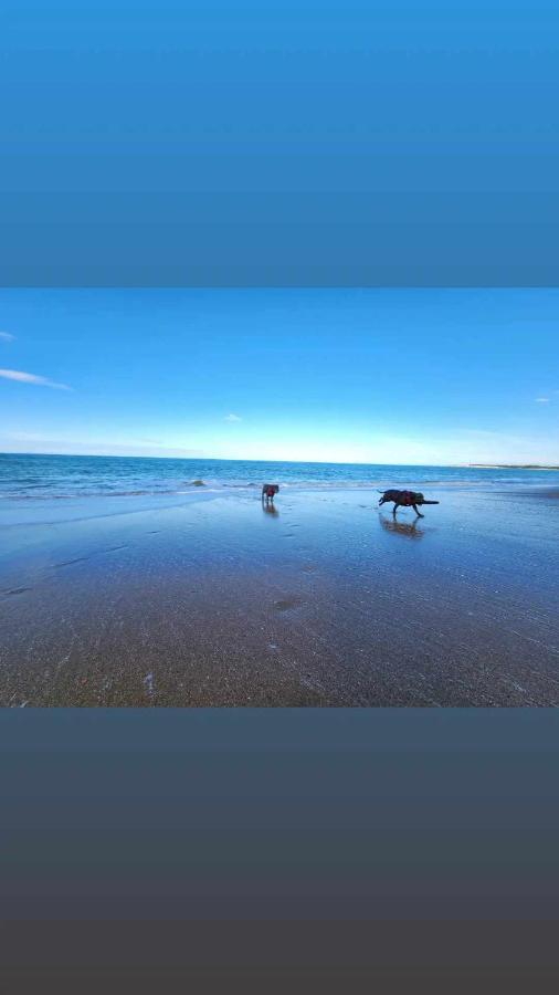 Beachbach16 - Kakanui Ngoại thất bức ảnh
